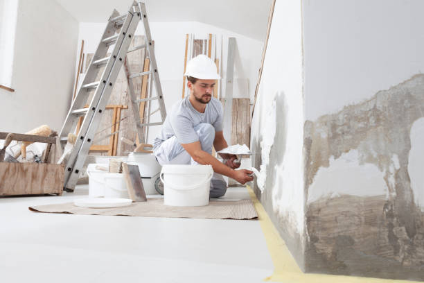 Best Mold Damage Restoration  in Leetsdale, PA